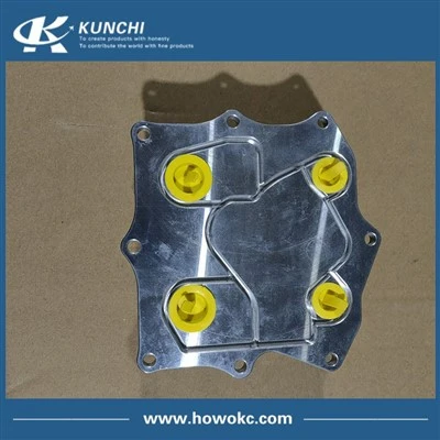 FOTON Cummins ISF2.8 Cav Qhov Chaw Roj Txias 5266955 5318533